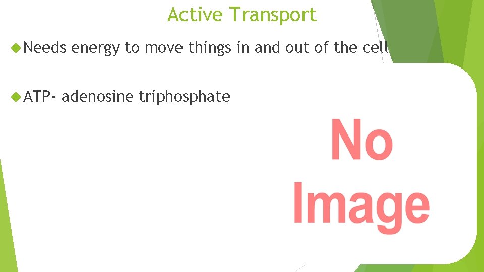 Active Transport Needs ATP- energy to move things in and out of the cell