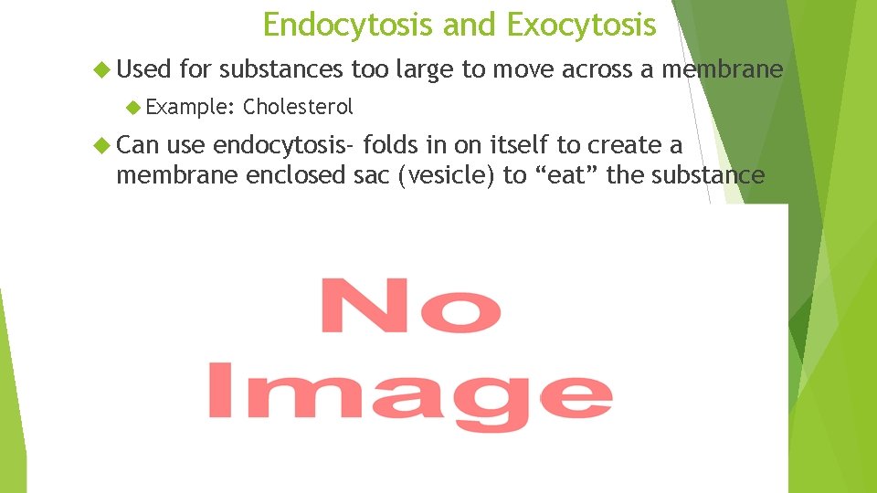 Endocytosis and Exocytosis Used for substances too large to move across a membrane Example: