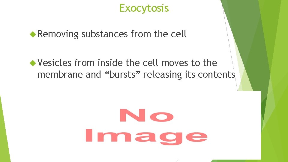 Exocytosis Removing Vesicles substances from the cell from inside the cell moves to the