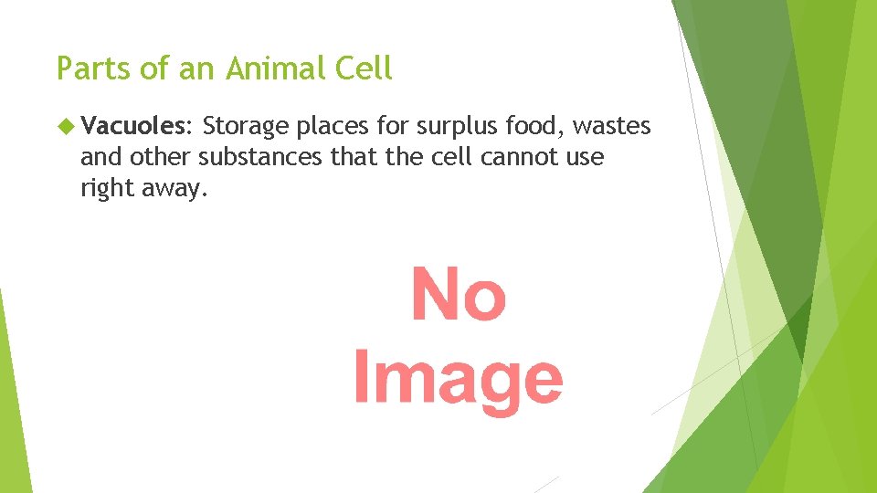 Parts of an Animal Cell Vacuoles: Storage places for surplus food, wastes and other