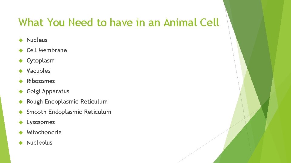What You Need to have in an Animal Cell Nucleus Cell Membrane Cytoplasm Vacuoles