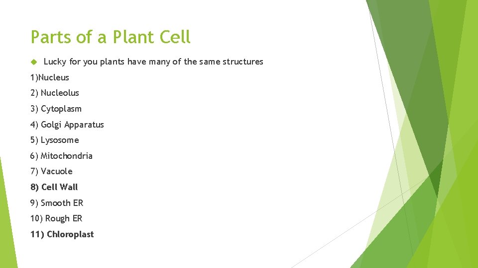 Parts of a Plant Cell Lucky for you plants have many of the same