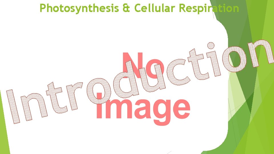 Photosynthesis & Cellular Respiration 