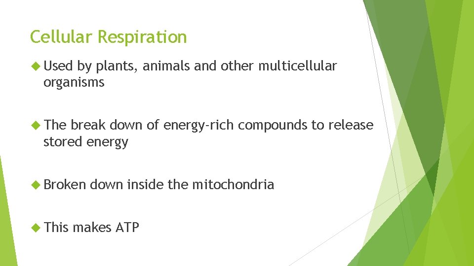 Cellular Respiration Used by plants, animals and other multicellular organisms The break down of