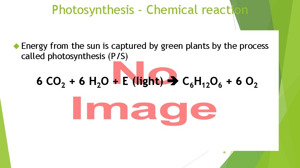 Photosynthesis – Chemical reaction Energy from the sun is captured by green plants by