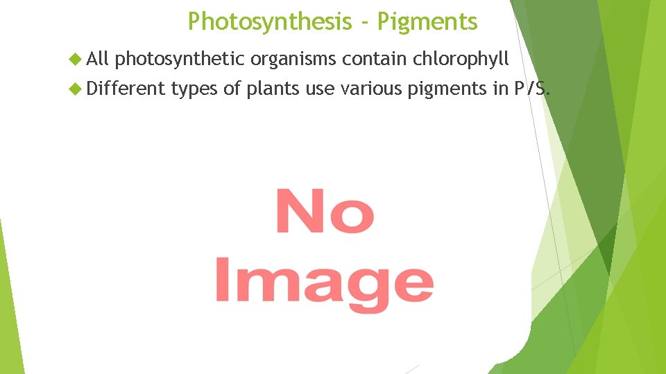 Photosynthesis - Pigments All photosynthetic organisms contain chlorophyll Different types of plants use various
