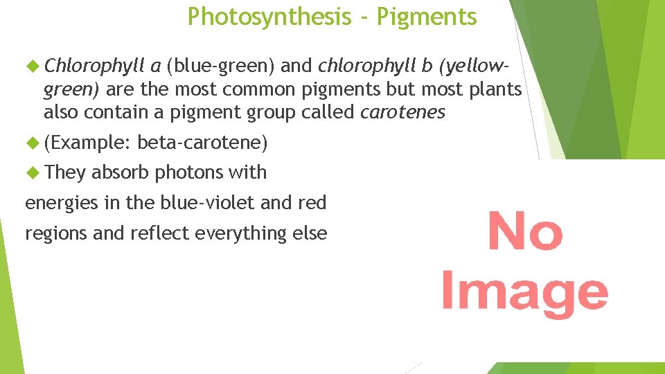 Photosynthesis - Pigments Chlorophyll a (blue-green) and chlorophyll b (yellowgreen) are the most common