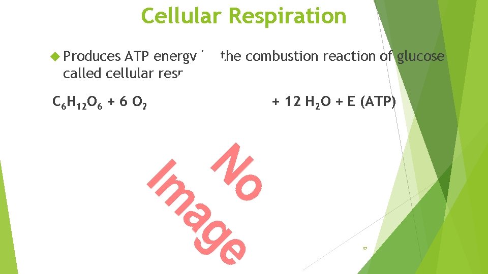 Cellular Respiration Produces ATP energy by the combustion reaction of glucose called cellular respiration.