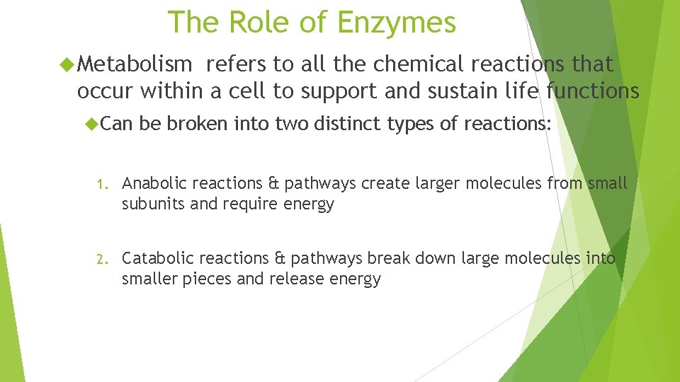 The Role of Enzymes Metabolism refers to all the chemical reactions that occur within