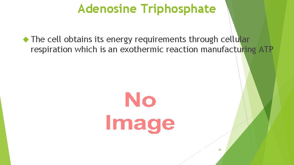 Adenosine Triphosphate The cell obtains its energy requirements through cellular respiration which is an