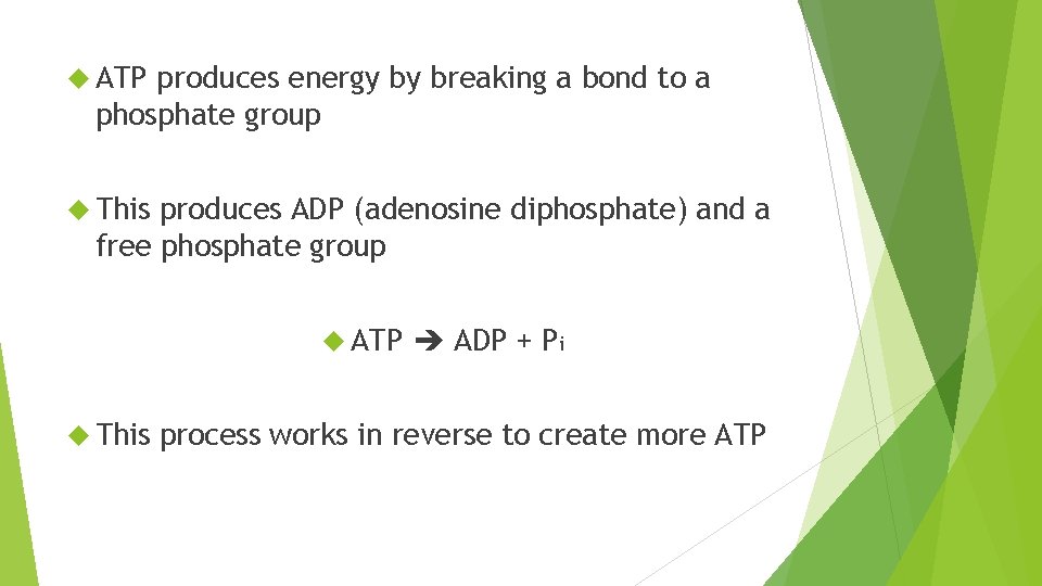  ATP produces energy by breaking a bond to a phosphate group This produces