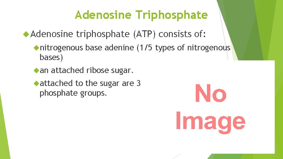 Adenosine Triphosphate Adenosine triphosphate (ATP) consists of: nitrogenous base adenine (1/5 types of nitrogenous