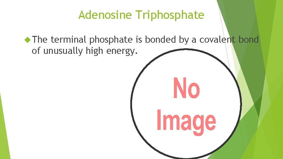 Adenosine Triphosphate The terminal phosphate is bonded by a covalent bond of unusually high