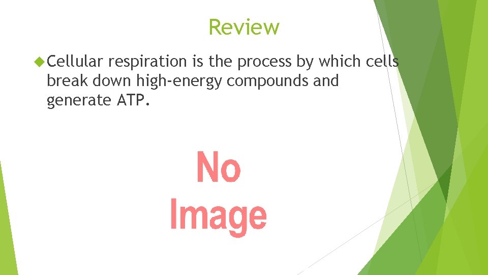 Review Cellular respiration is the process by which cells break down high-energy compounds and