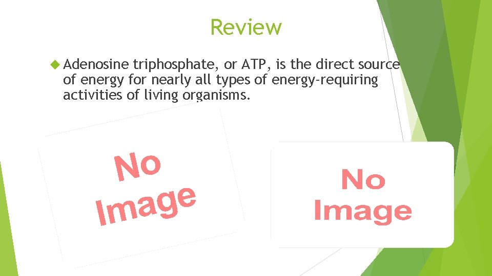 Review Adenosine triphosphate, or ATP, is the direct source of energy for nearly all