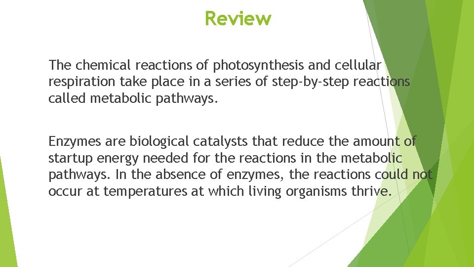 Review The chemical reactions of photosynthesis and cellular respiration take place in a series