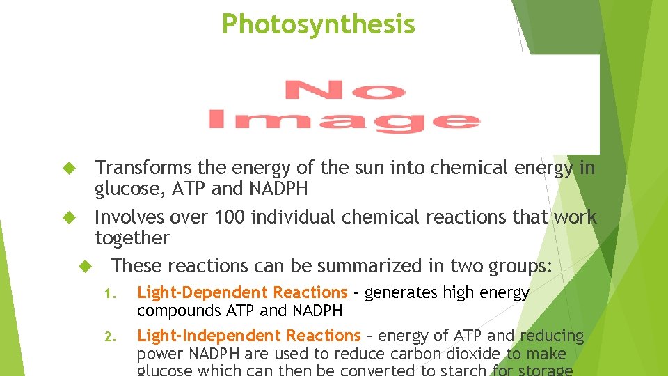 Photosynthesis Transforms the energy of the sun into chemical energy in glucose, ATP and