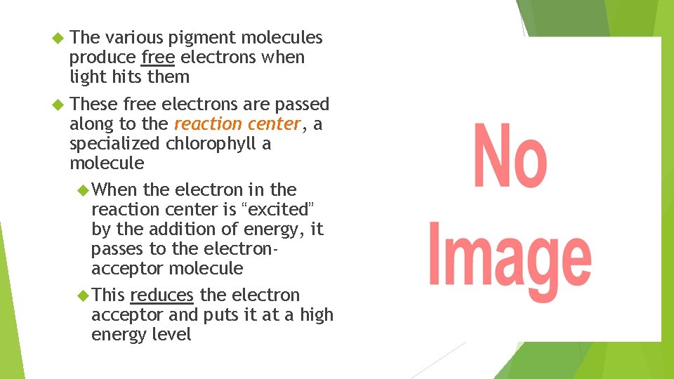  The various pigment molecules produce free electrons when light hits them These free
