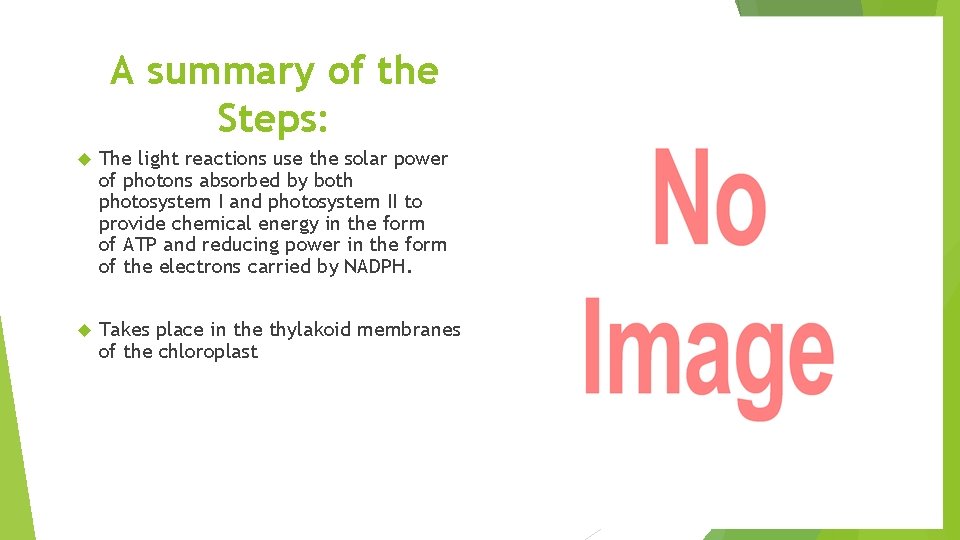 A summary of the Steps: The light reactions use the solar power of photons