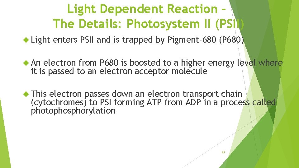 Light Dependent Reaction – The Details: Photosystem II (PSII) Light enters PSII and is