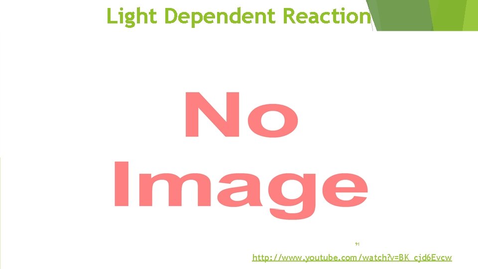 Light Dependent Reaction 91 http: //www. youtube. com/watch? v=BK_cjd 6 Evcw 