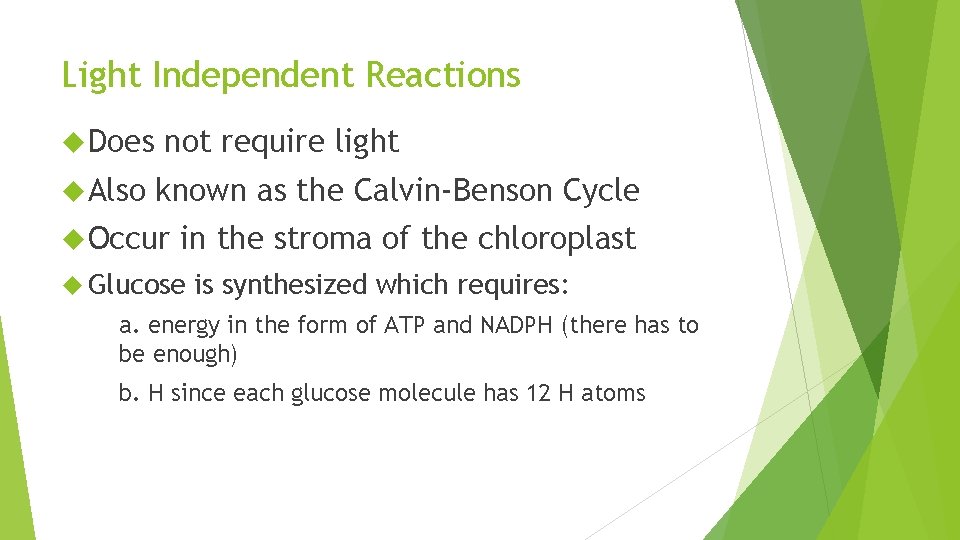 Light Independent Reactions Does Also not require light known as the Calvin-Benson Cycle Occur