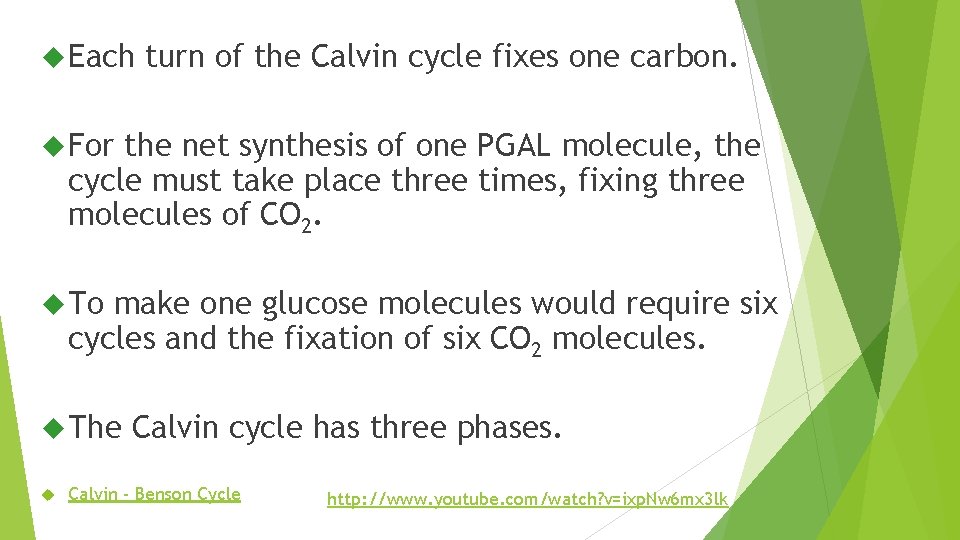  Each turn of the Calvin cycle fixes one carbon. For the net synthesis