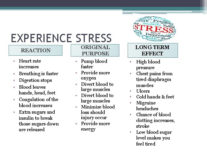 EXPERIENCE STRESS REACTION ORIGINAL PURPOSE LONG TERM EFFECT • Heart rate increases • Breathing