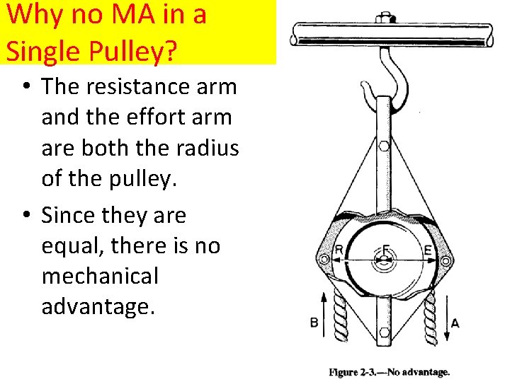 Why no MA in a Single Pulley? • The resistance arm and the effort
