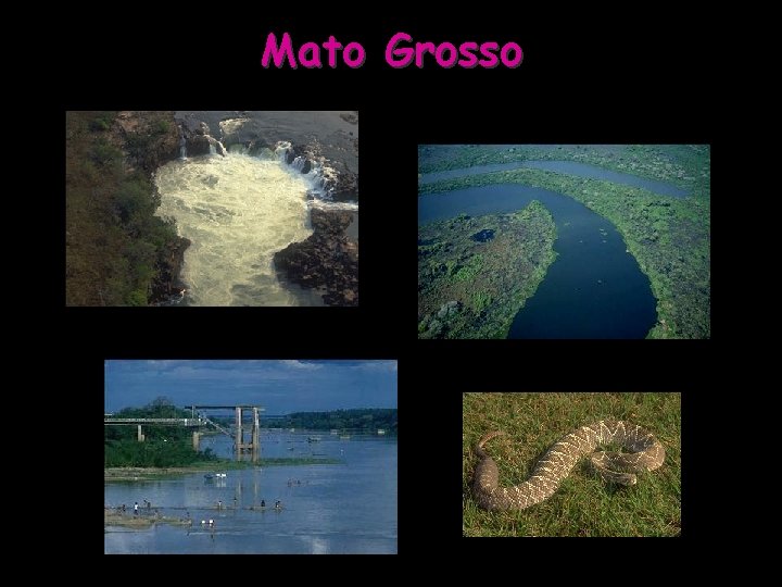 Mato Grosso 