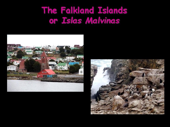 The or Falkland Islands Islas Malvinas 