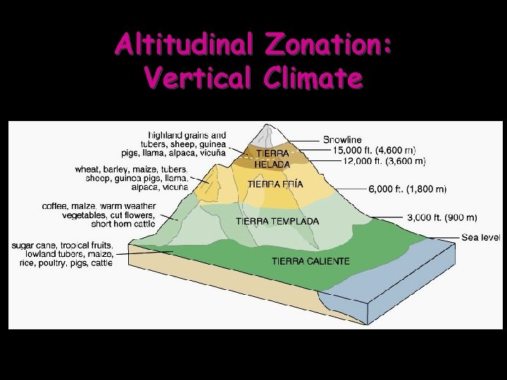 Altitudinal Zonation: Vertical Climate 