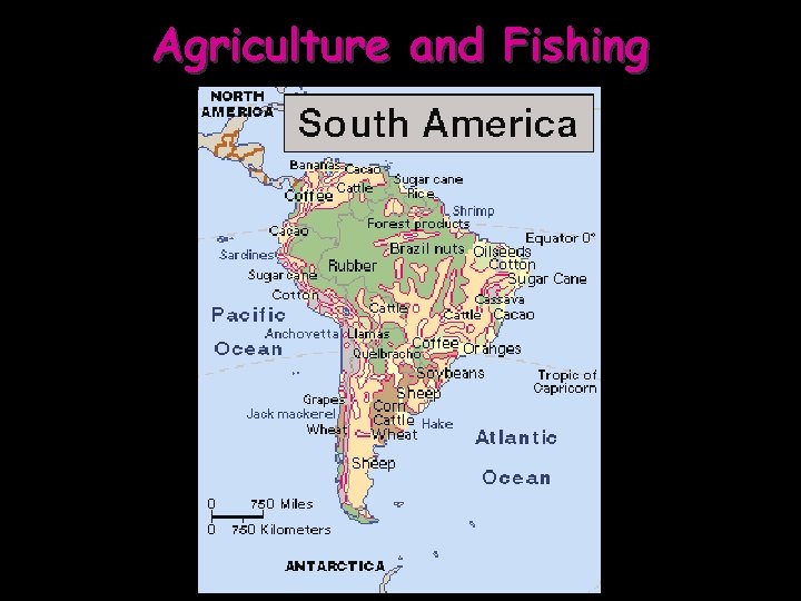 Agriculture and Fishing 
