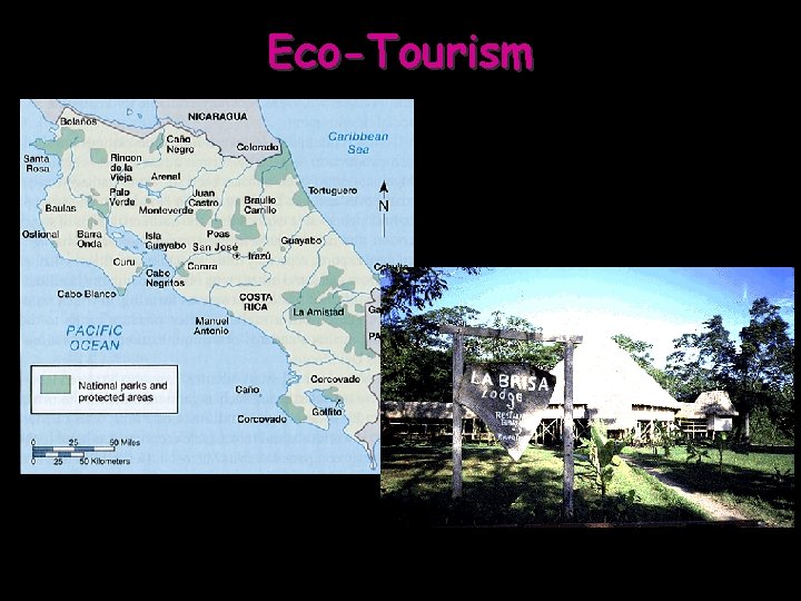 Eco-Tourism 