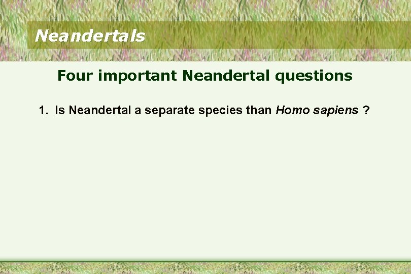 Neandertals Four important Neandertal questions 1. Is Neandertal a separate species than Homo sapiens