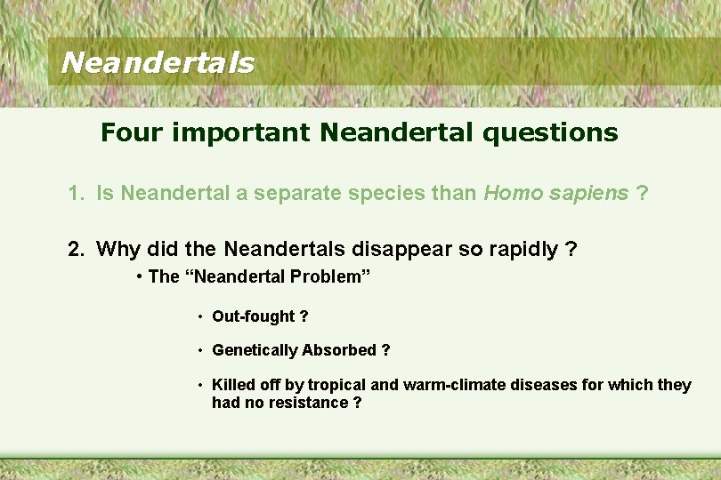 Neandertals Four important Neandertal questions 1. Is Neandertal a separate species than Homo sapiens