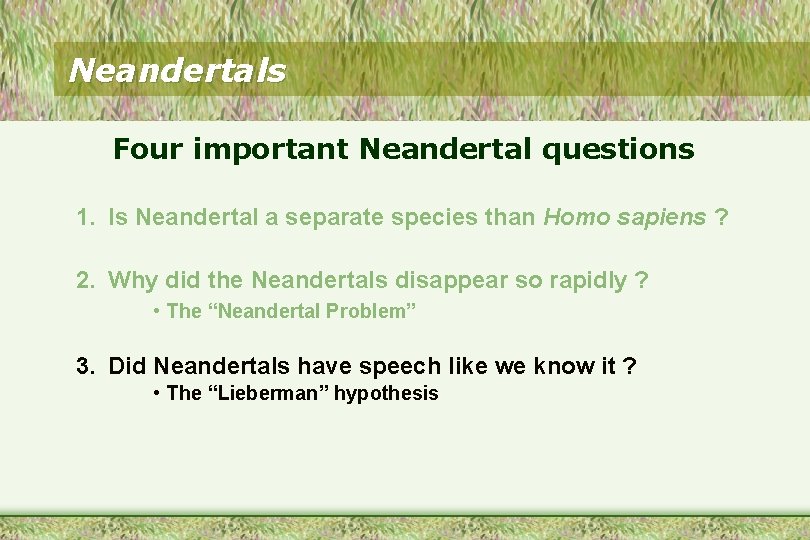 Neandertals Four important Neandertal questions 1. Is Neandertal a separate species than Homo sapiens