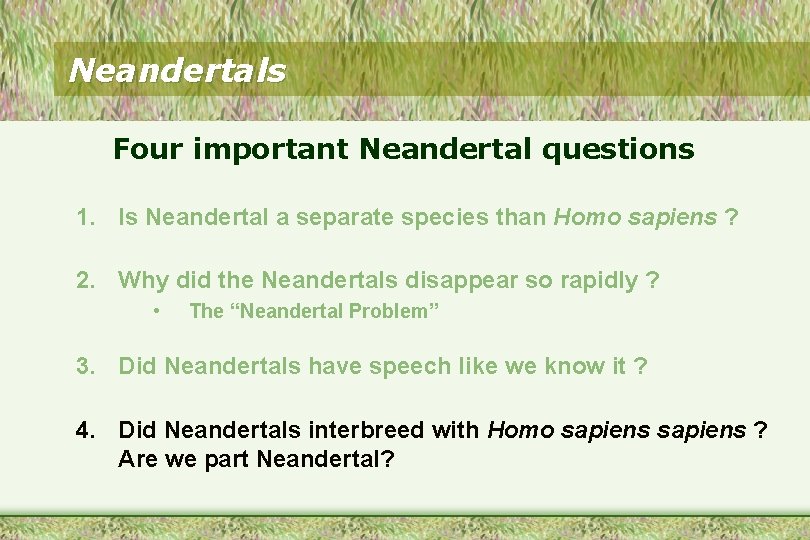 Neandertals Four important Neandertal questions 1. Is Neandertal a separate species than Homo sapiens