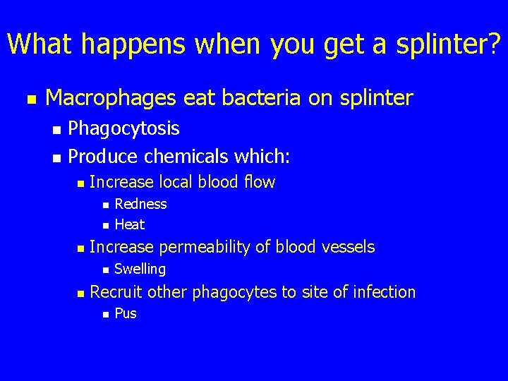 What happens when you get a splinter? n Macrophages eat bacteria on splinter n