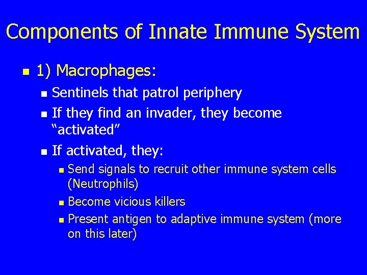 Components of Innate Immune System n 1) Macrophages: n n n Sentinels that patrol