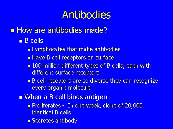 Antibodies n How are antibodies made? n B cells Lymphocytes that make antibodies n