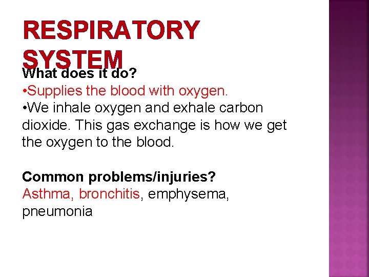 RESPIRATORY SYSTEM What does it do? • Supplies the blood with oxygen. • We