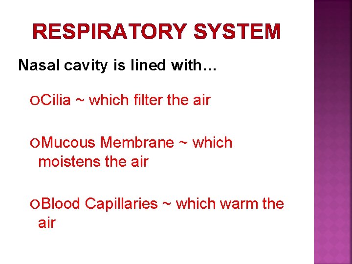 RESPIRATORY SYSTEM Nasal cavity is lined with… Cilia ~ which filter the air Mucous