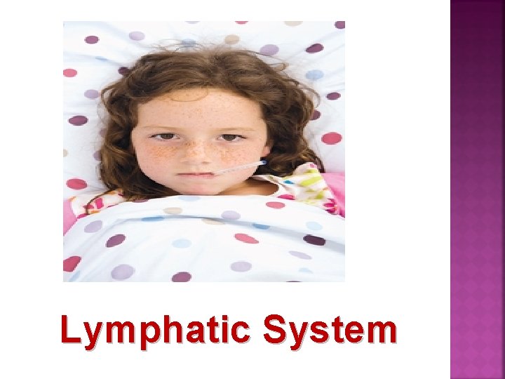 Lymphatic System 