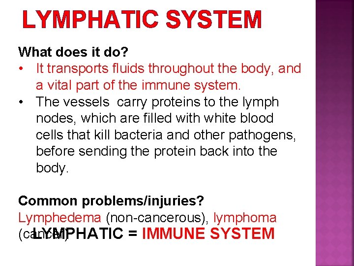LYMPHATIC SYSTEM What does it do? • It transports fluids throughout the body, and