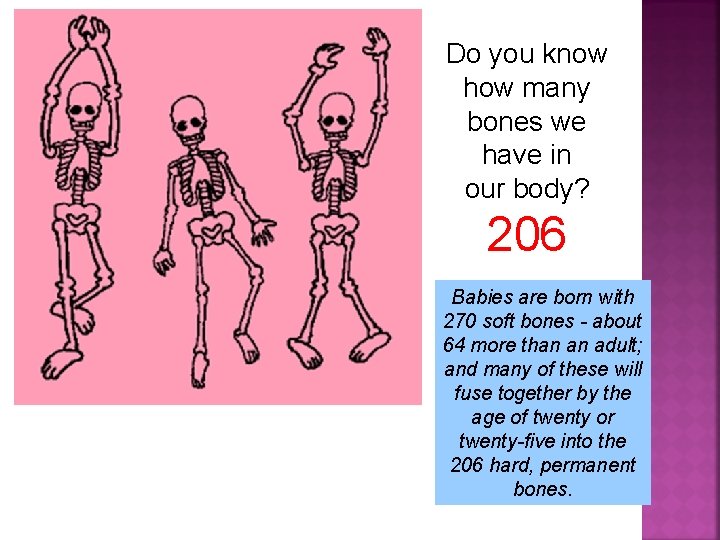 Do Do you know how many bones we have in our body? 206 Babies