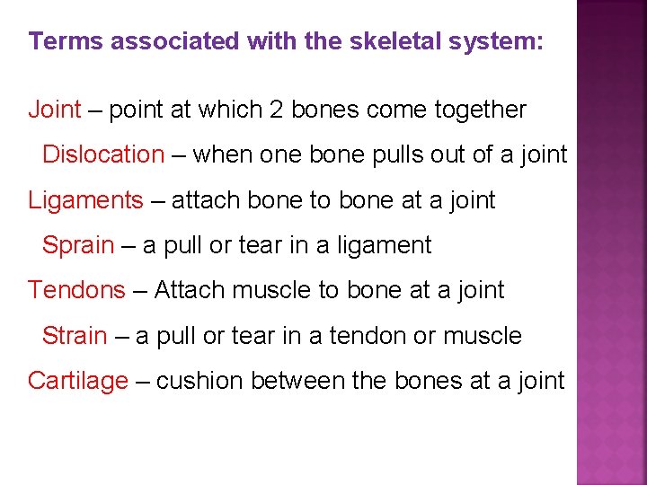 Terms associated with the skeletal system: Joint – point at which 2 bones come