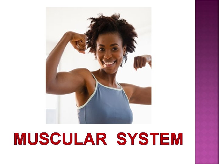 MUSCULAR SYSTEM 