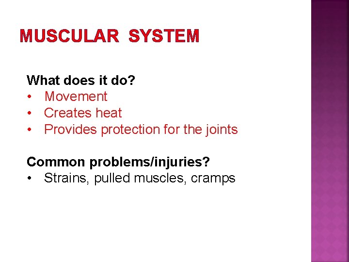 MUSCULAR SYSTEM What does it do? • Movement • Creates heat • Provides protection