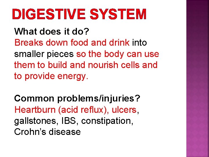 DIGESTIVE SYSTEM What does it do? Breaks down food and drink into smaller pieces